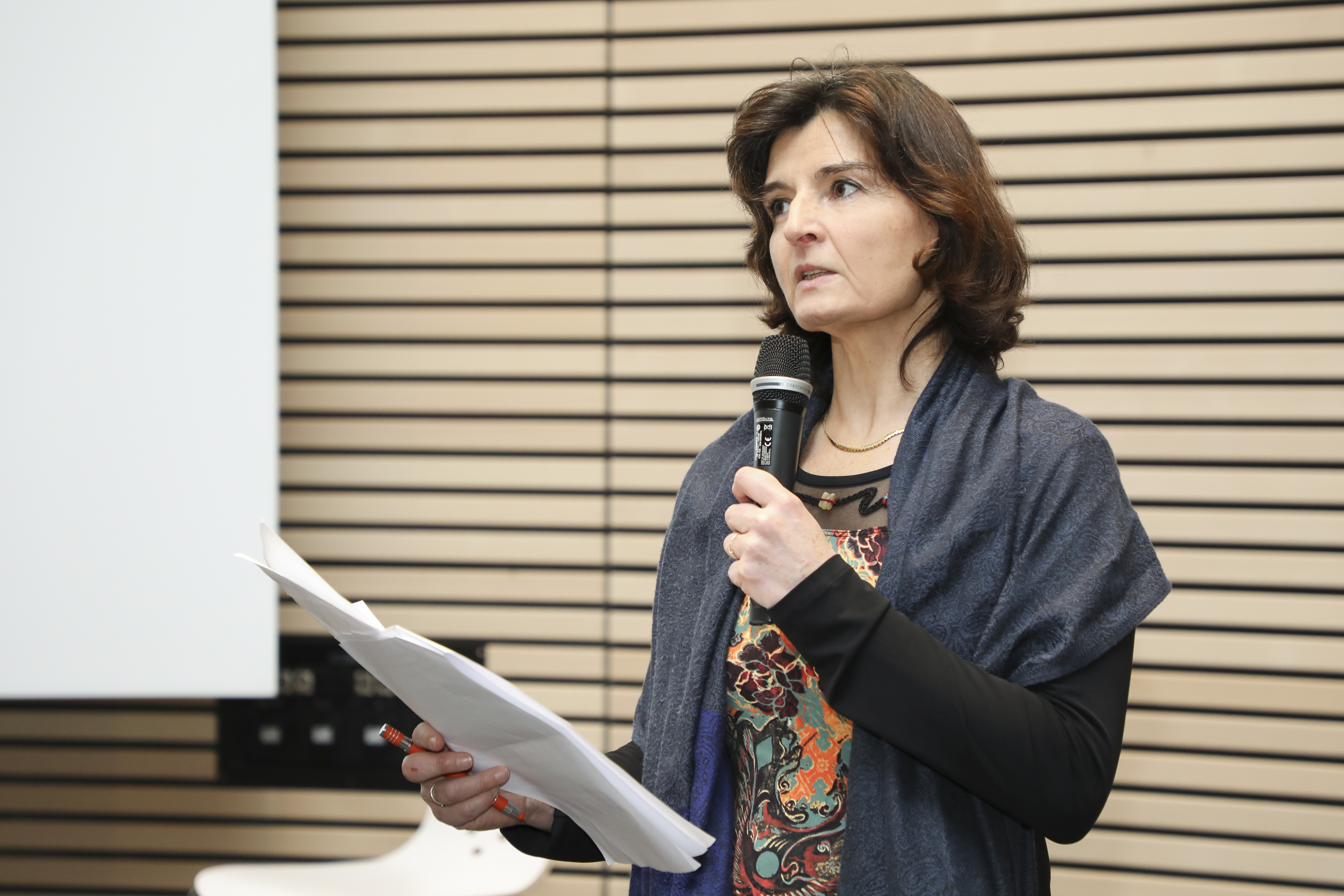Fabienne Martin-Juchat, Chargée de mission valorisation SHS et cheffe de projet Maison de la Création et de l'innovation Fabienne Martin-Juchat, Chargée de mission valorisation SHS et cheffe de projet Maison de la Création et de l'innovation