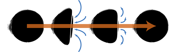 Reconstitution des principales étapes de déformation et de mouvement. © A. Djellouli et G. Coupier, LIPhy (CNRS/Univ. Grenoble Alpes)