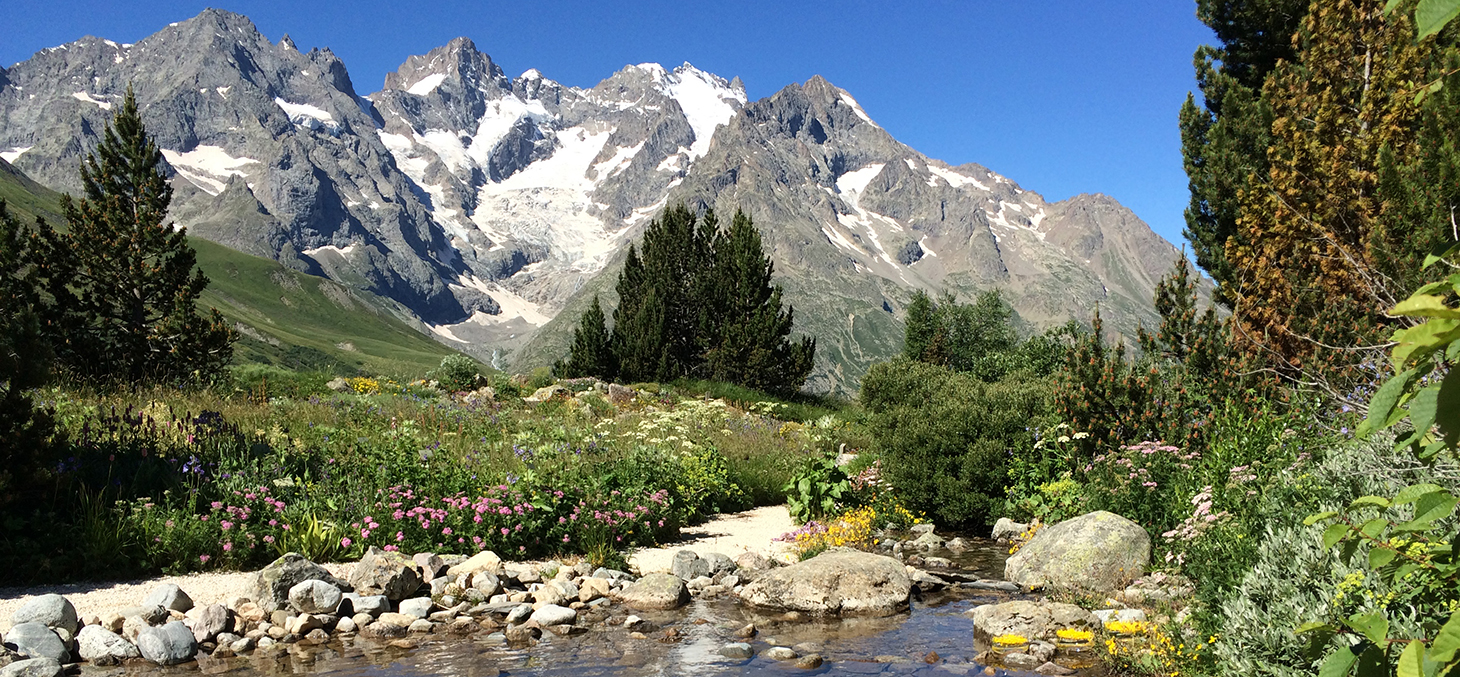 Jardin du Lautaret © Jean-Gabriel Valay et Maxime Rome / Station alpine Joseph Fourier