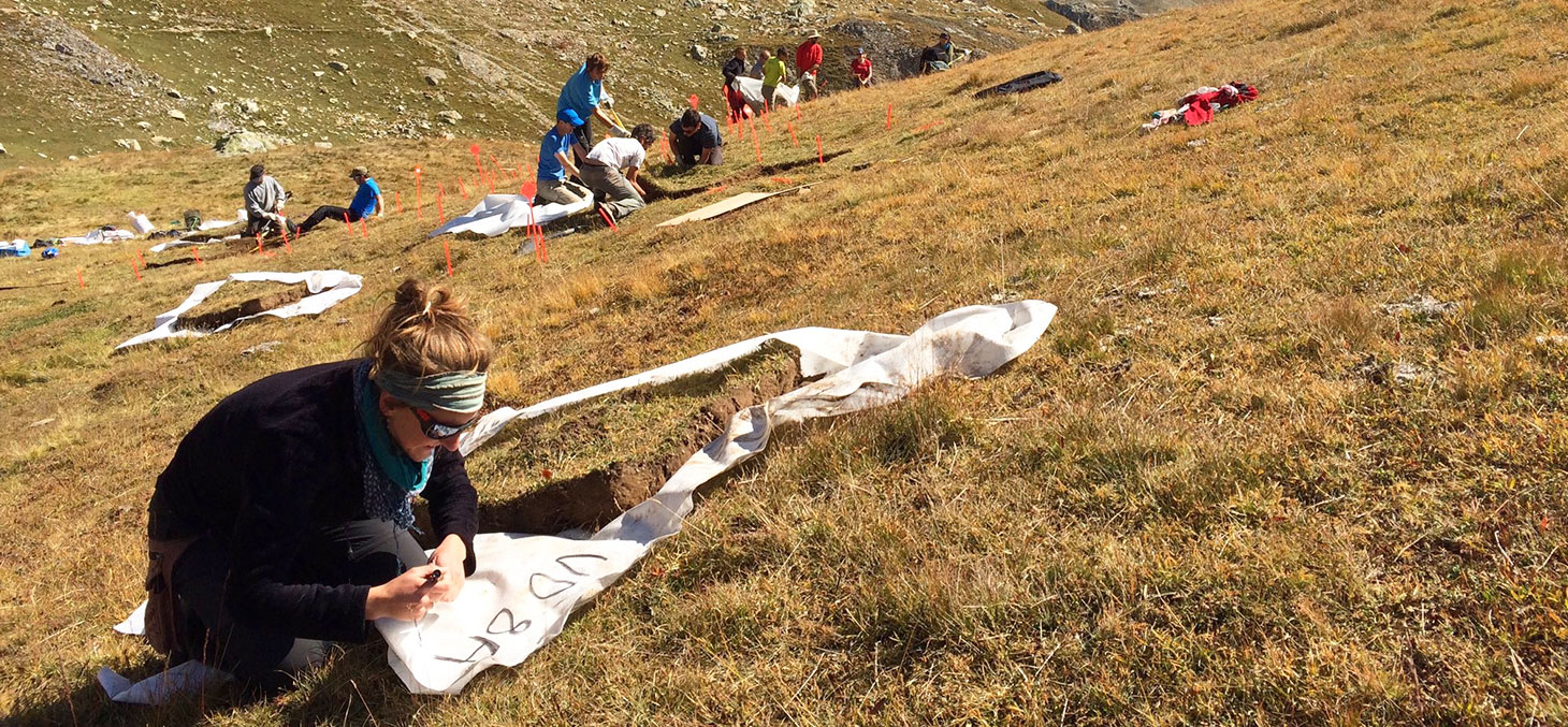 Une équipe internationale du laboratoire d'écologie alpine découpe et marque les 40 parcelles sur les pentes du Galibier