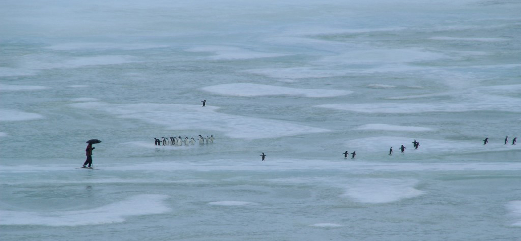 Temps de pluie et de fonte des glaces sur la banquise de la terre Adélie (Antarctique) lors du passage d’une rivière atmosphérique © Bruno Jourdain