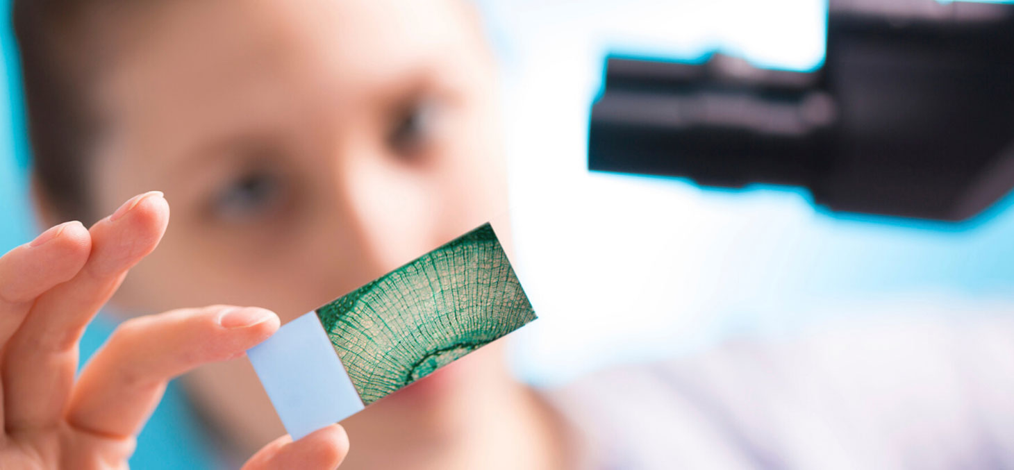 Journée internationale des femmes et des filles de science