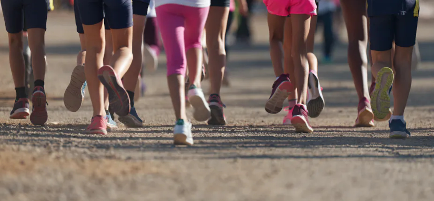 L’EPS semble aujourd’hui tiraillée entre les aspirations à des pratiques renouvelées (Cross Training, Yoga, Futsal…) et une forme de tradition relative aux activités sportives plus communément enseignées (athlétisme, sports collectifs). Shutterstock