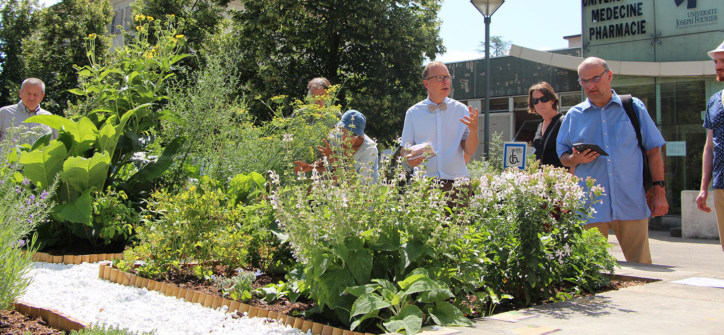 Visite du jardin médiéval des quatre humeurs - Jardin Dominique Villars - Juillet 2017