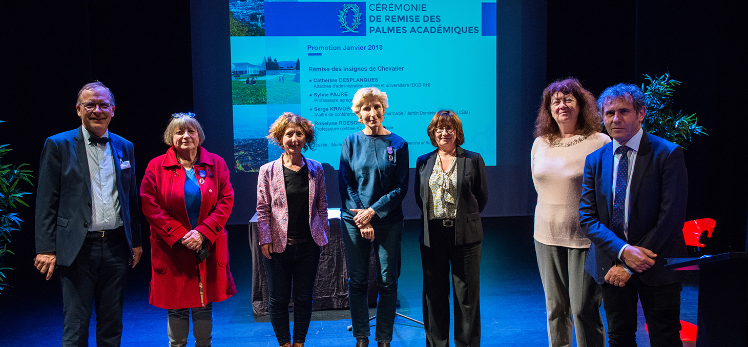 Remise des Palmes académiques à la promotion Janvier 2018 Remise des Palmes académiques à la promotion Janvier 2018